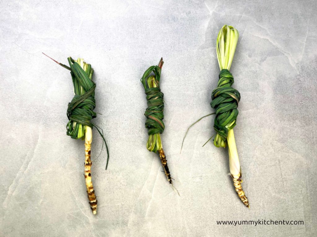 The Versatile Lemongrass (Tanglad) plant tied