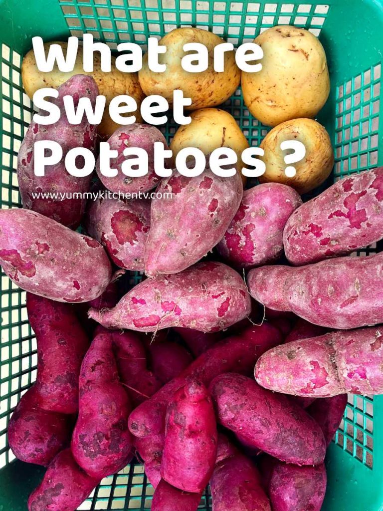 Sweet Potato (Kamote)