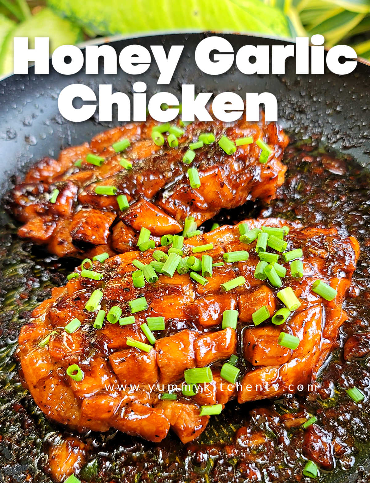 honey-garlic-chicken-breast-yummy-kitchen