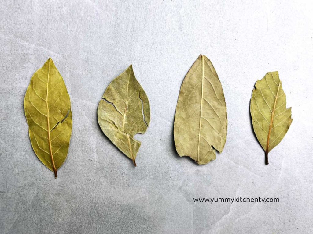 the different shapes of bay leaves dahon ng laurel
