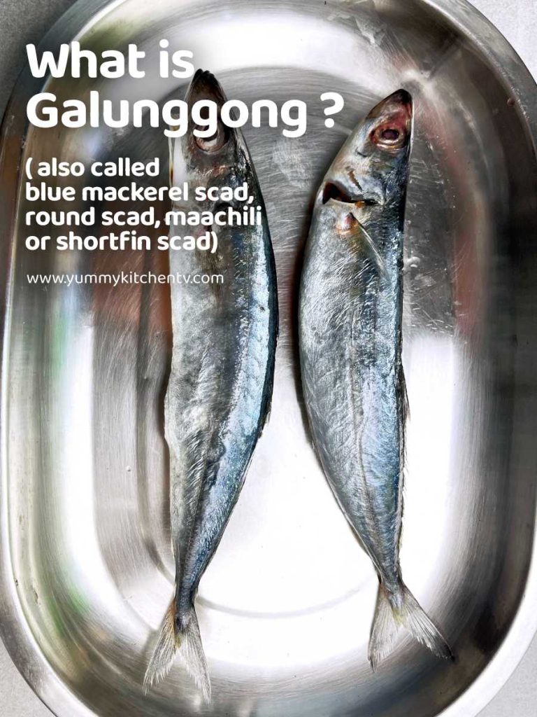 what is a fried galunggong fish blue mackerel scad, round scad, maachili or shortfin scad