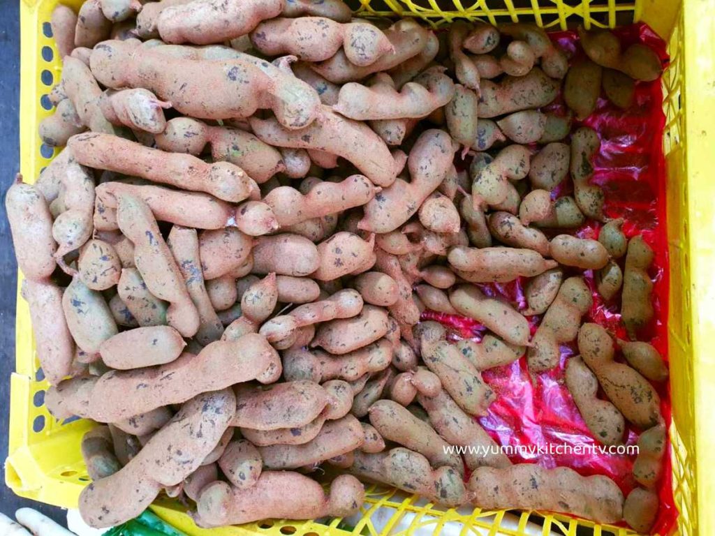 large tamarind in the province