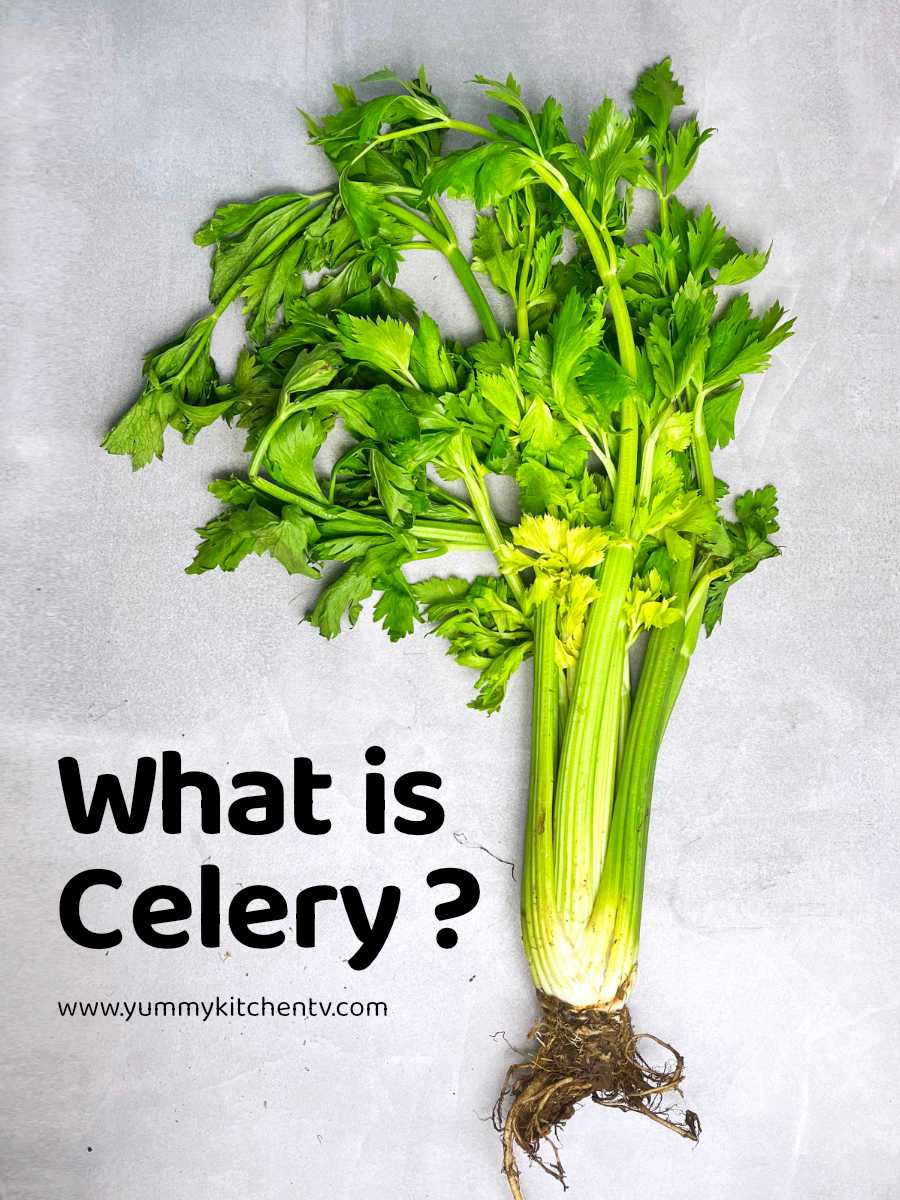 Celery ( a low calorie vegetable with a lot of benefits ) Yummy Kitchen