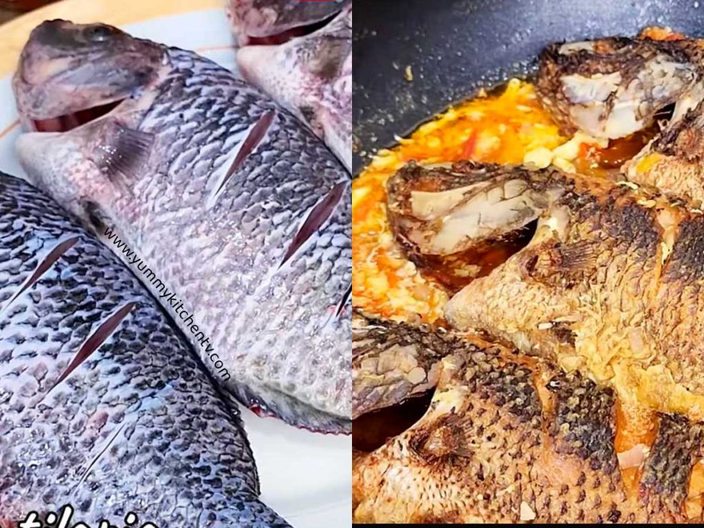 fresh and cooked tilapia