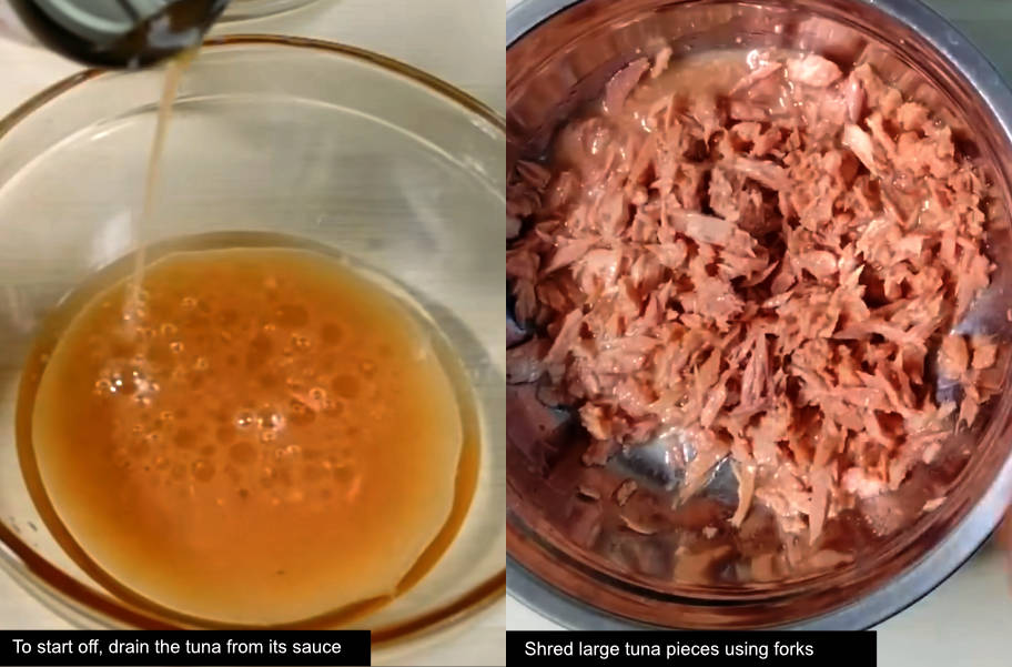 tuna patties low carb