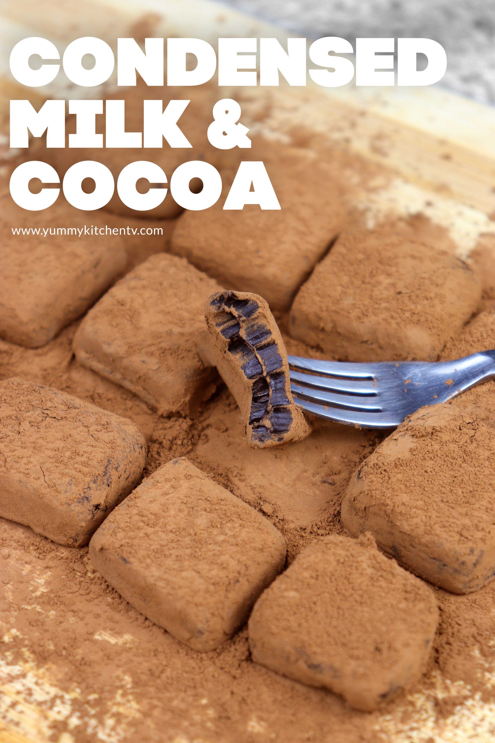 2Ingredient Condensed Milk Chocolate Truffles Yummy Kitchen