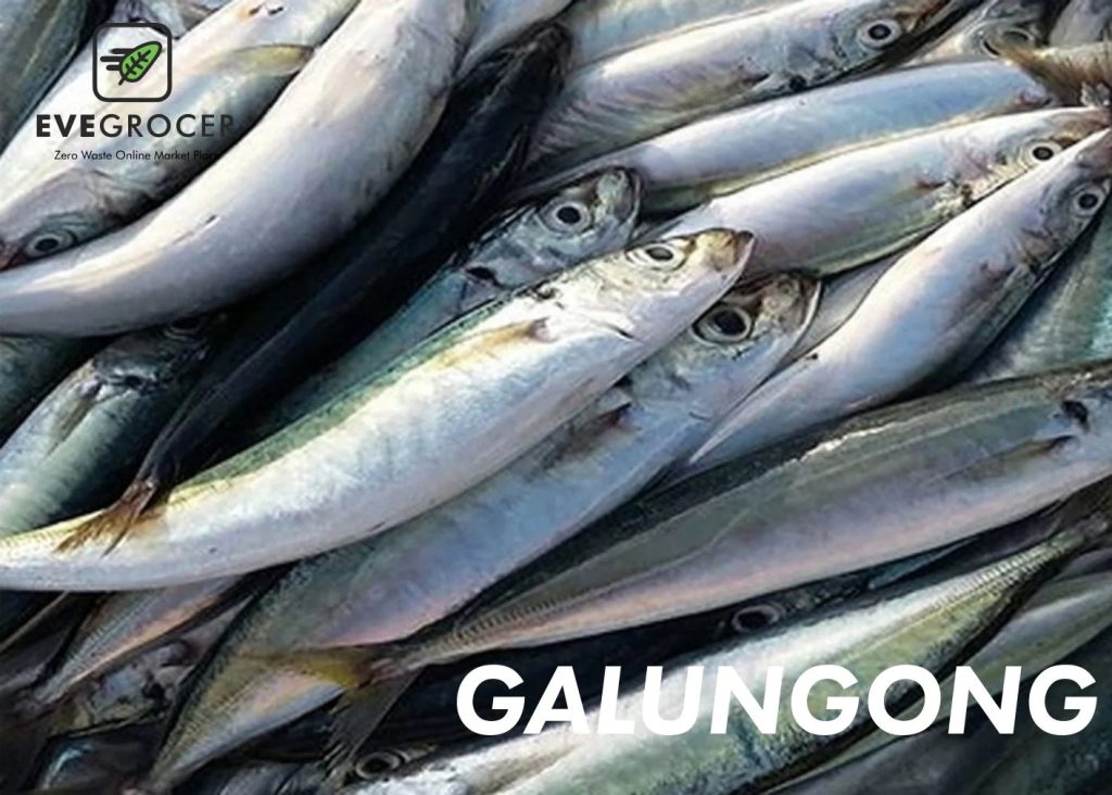 What is Galunggong