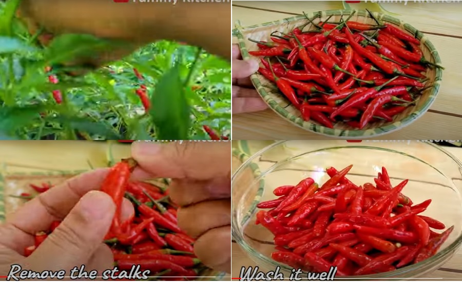 How to make chili garlic oil