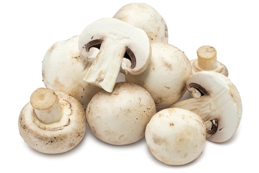 What are Mushrooms