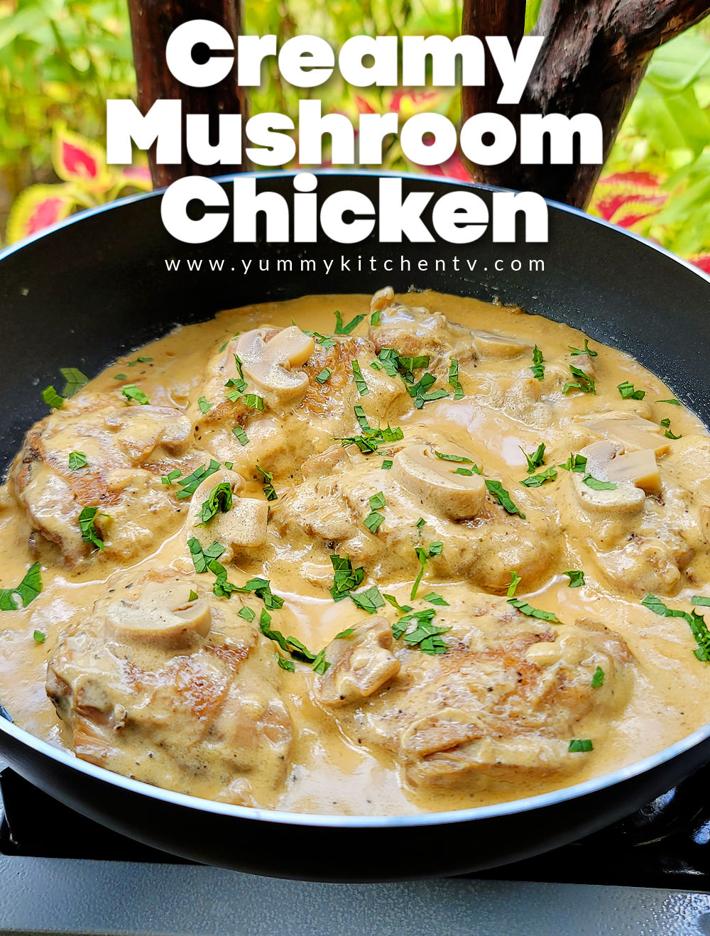 Creamy Mushroom Chicken Yummy Kitchen 2457