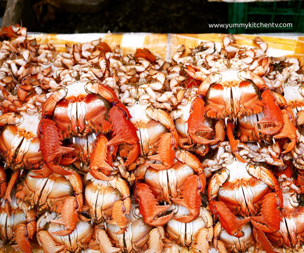 curacha or spanner crab