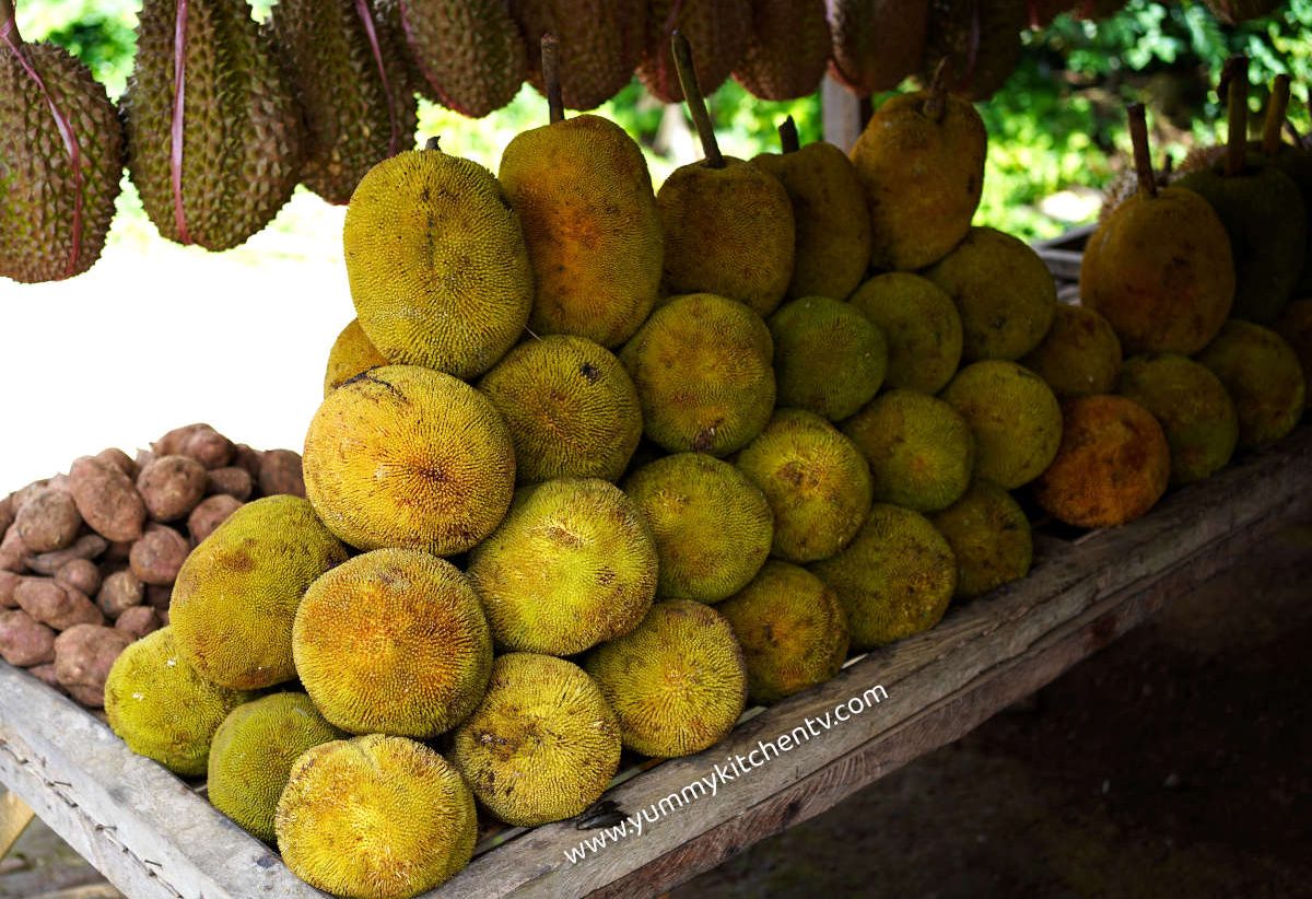 what-is-marang-fruit-an-interesting-tropical-fruit-yummy-kitchen