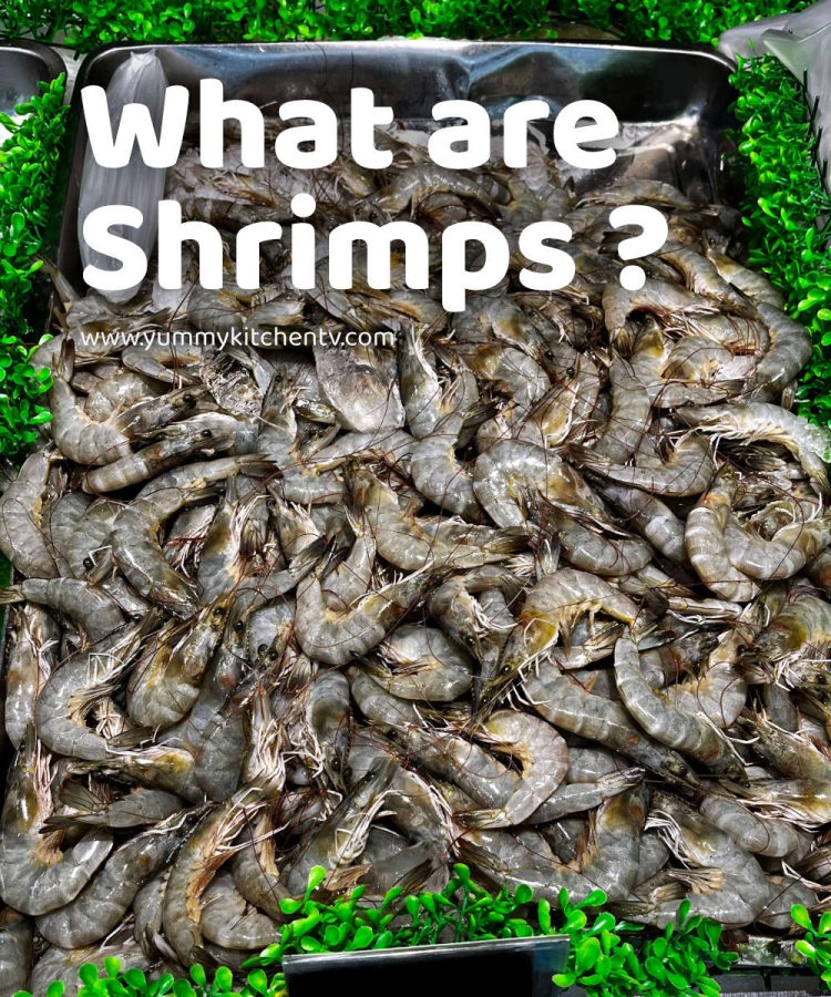 What are Shrimps ? A short Introduction and Benefits - Yummy Kitchen