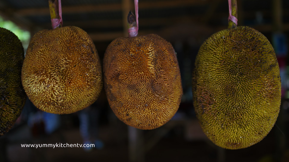 marang fruit from the philippines