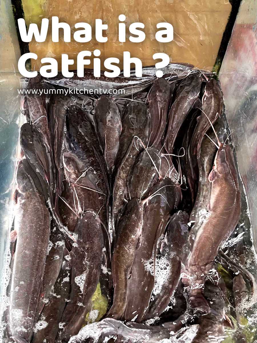 The delicate and subtly sweet Hito (Catfish) Yummy Kitchen