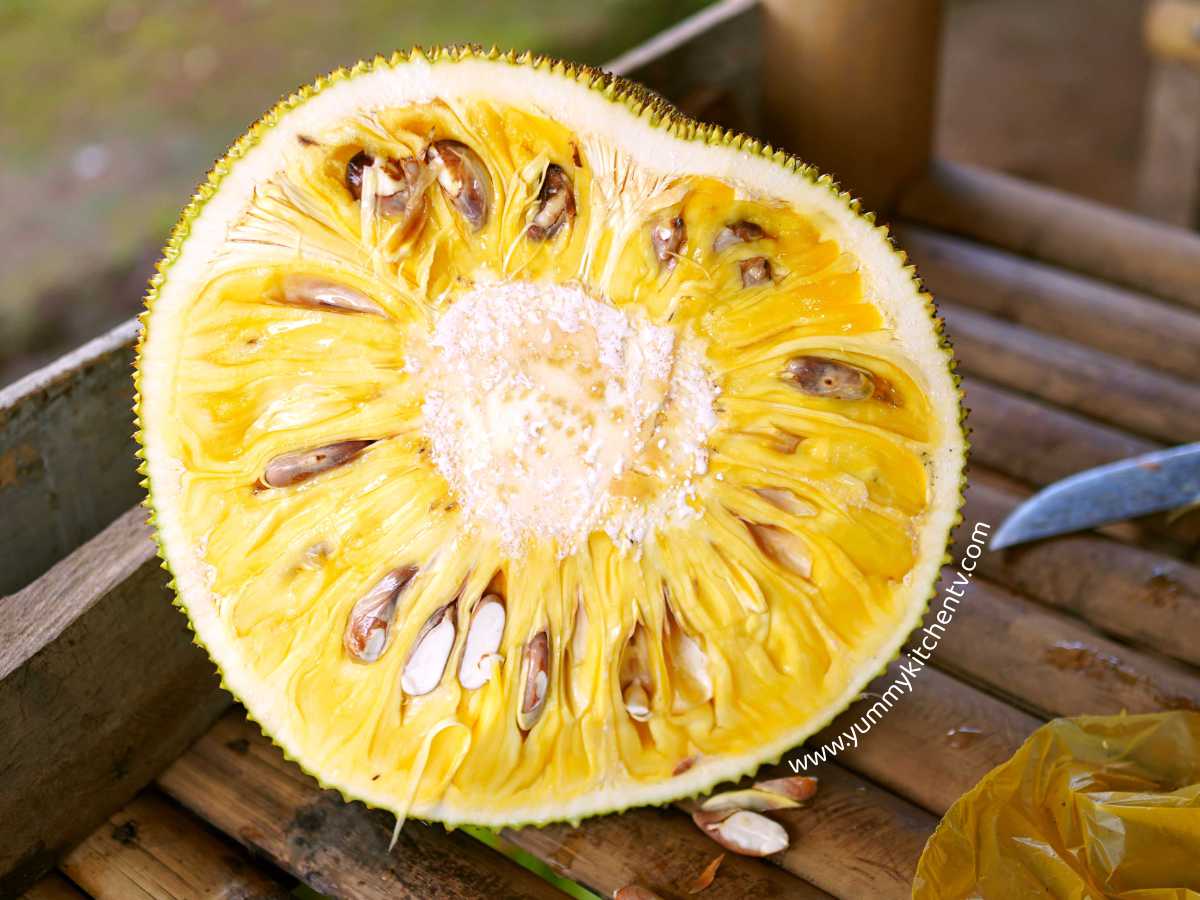 Langka (Jackfruit) The new meat alternative Yummy Kitchen