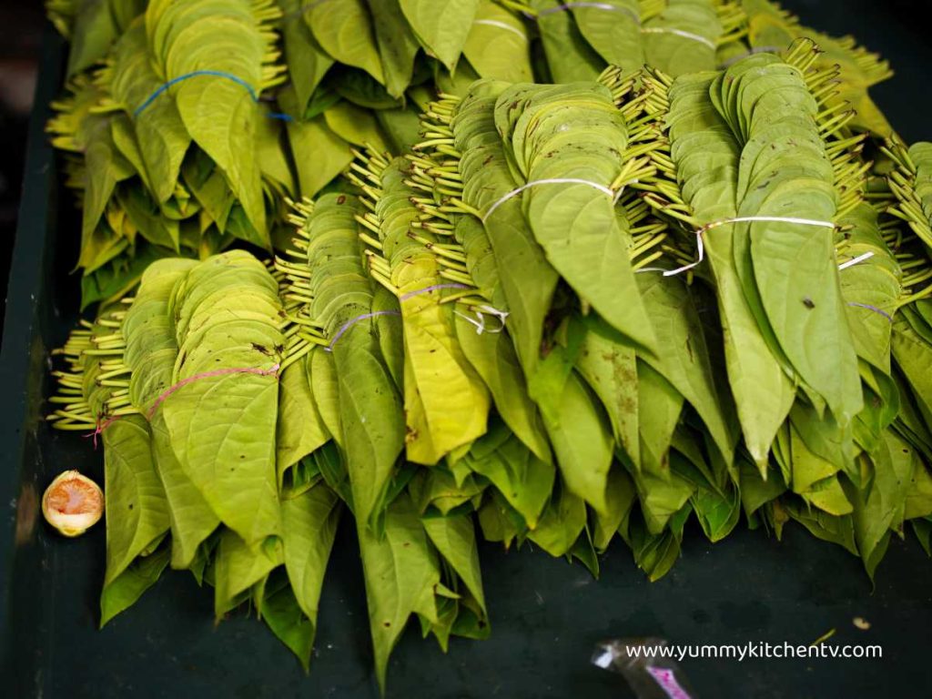 betel nut leaf nga nga leaf areca leaf