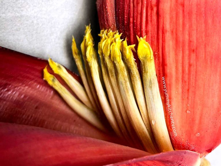 Banana Blossoms or Flowers