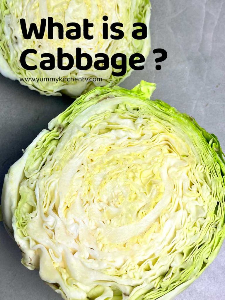 what is a cabbage