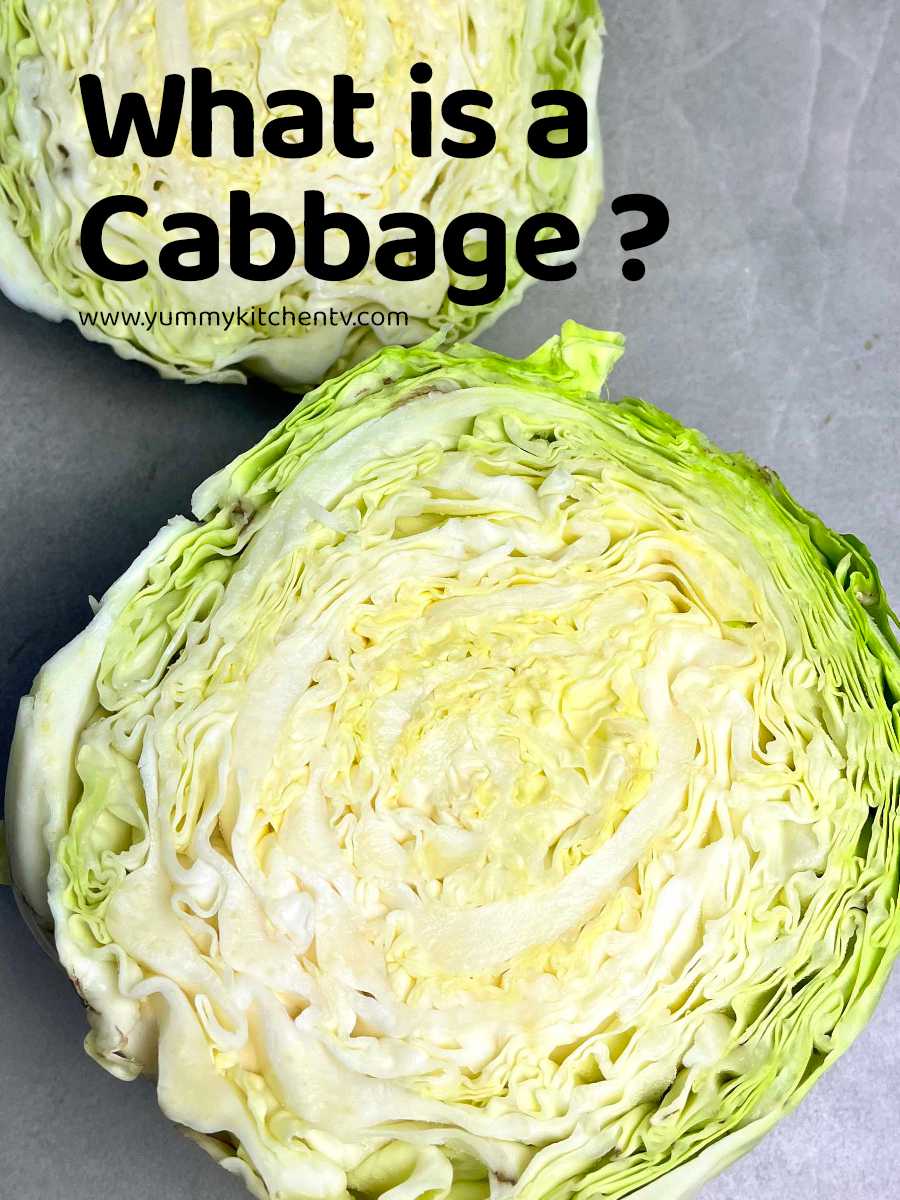 Cabbage ( The modest gut healing vegetable ) Yummy Kitchen