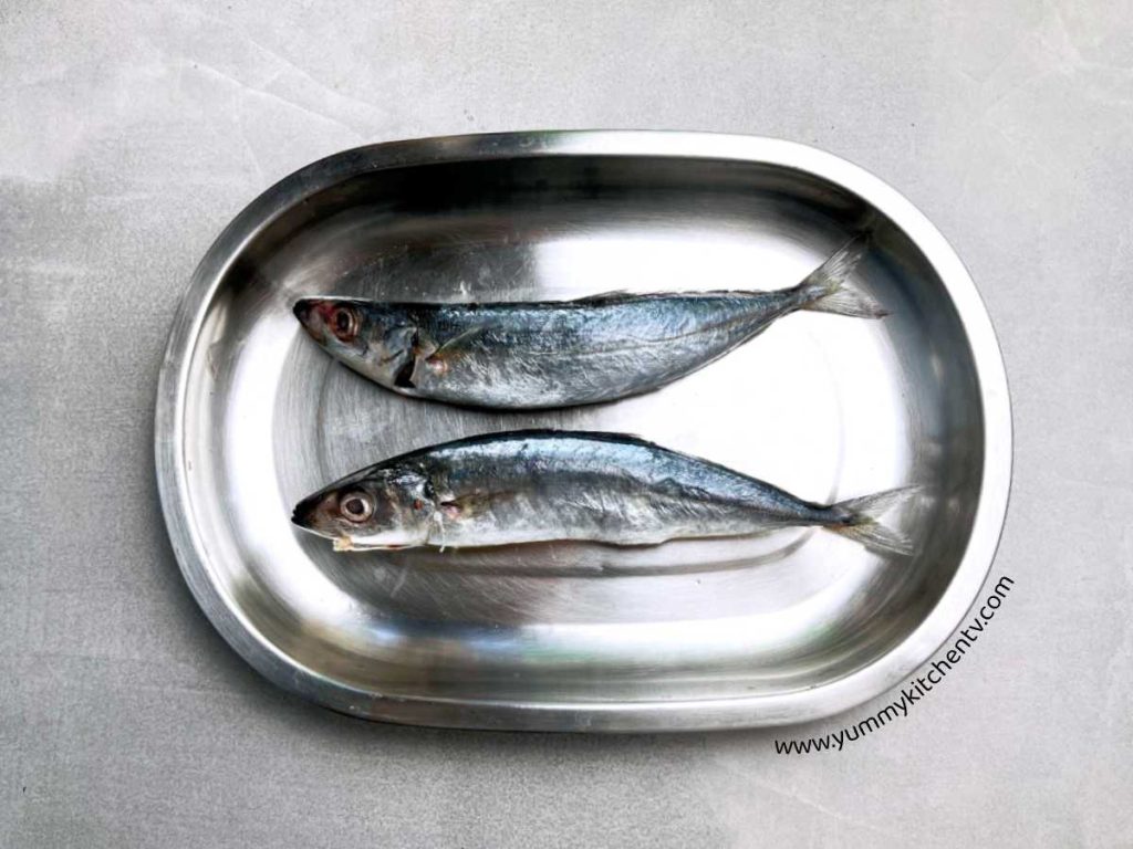 full body of a fried galunggong fish blue mackerel scad, round scad, maachili or shortfin scad