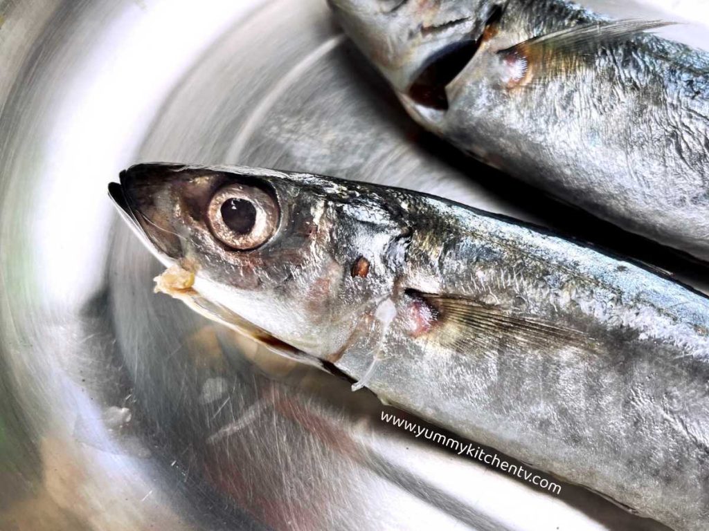 head of a galunggong fish blue mackerel scad, round scad, maachili or shortfin scad