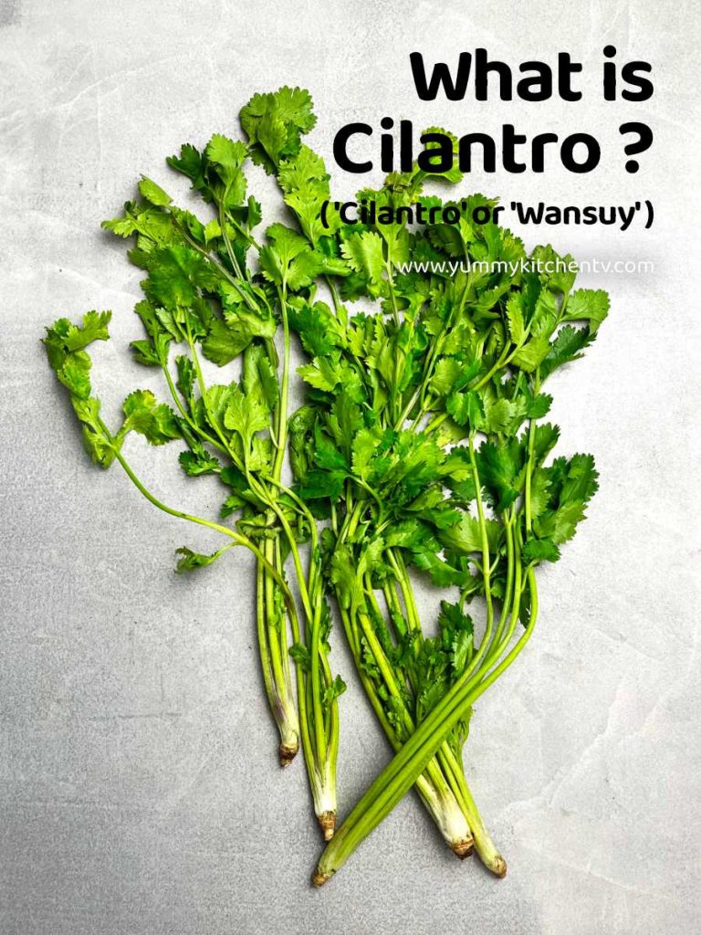 what is cilantro coriander wansoy