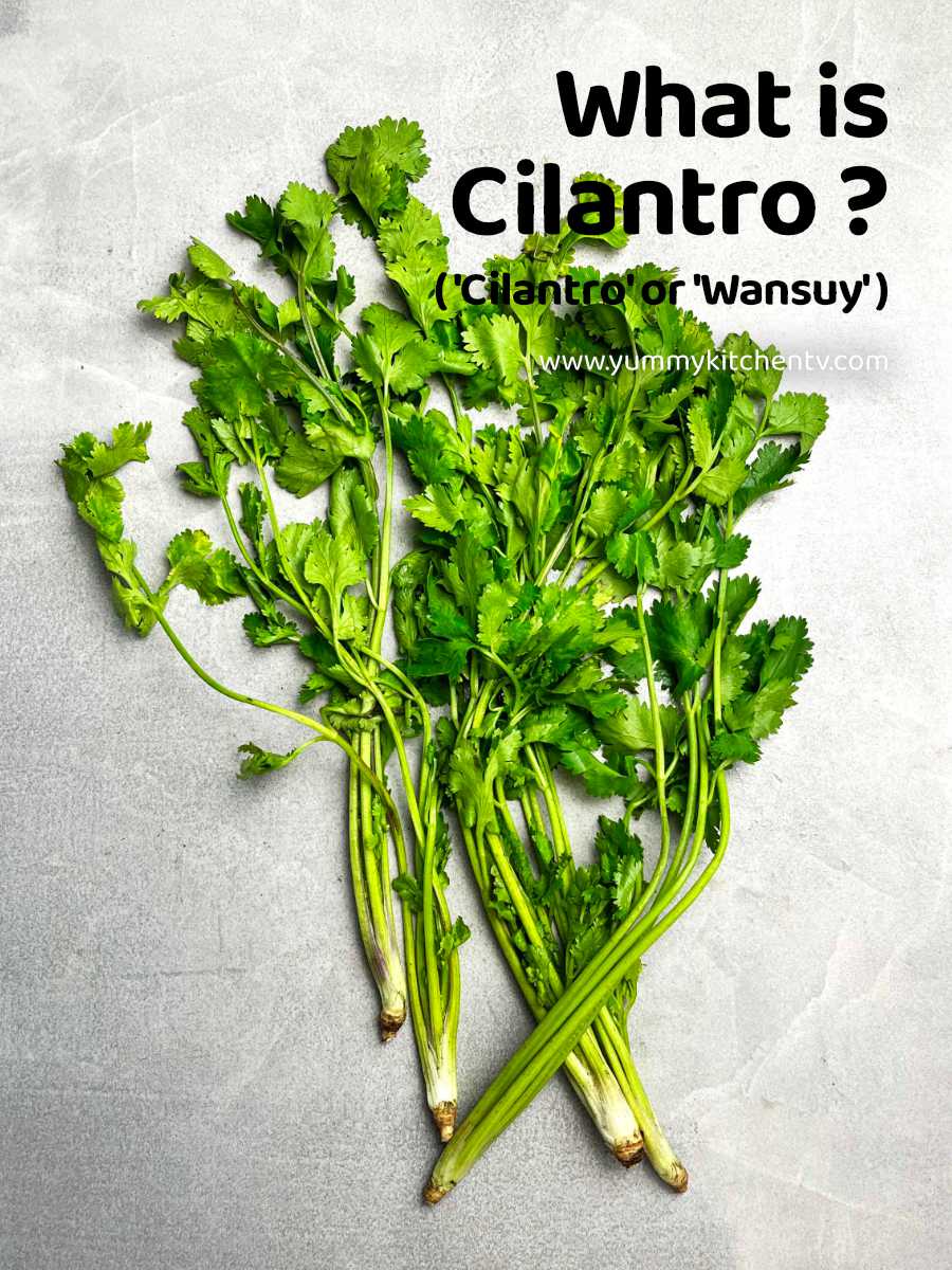 Cilantro ( also called "Coriander" or "Wansoy" ) Yummy Kitchen