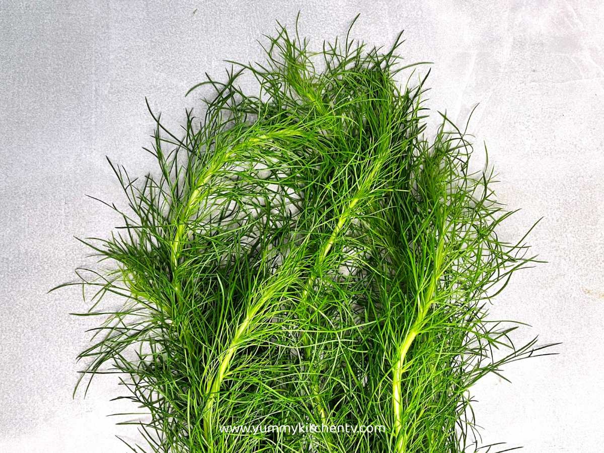 Dill - An Aromatic Refreshing Herb ( History, Benefits, and Recipes ...