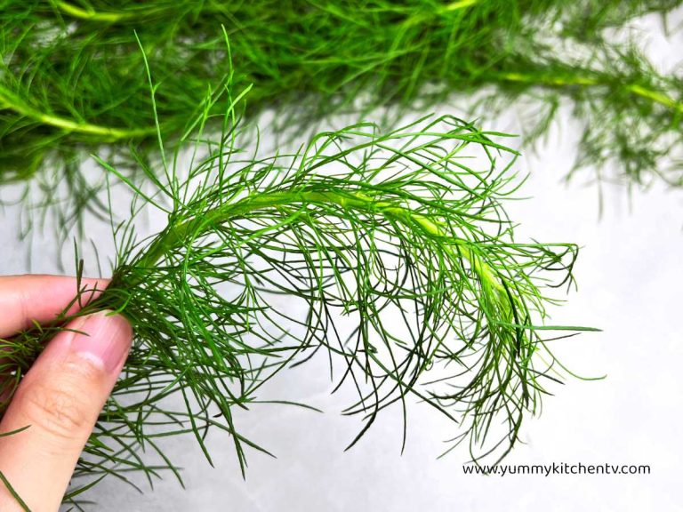 Dill – An Aromatic Refreshing Herb