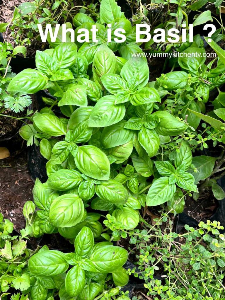 what is basil?