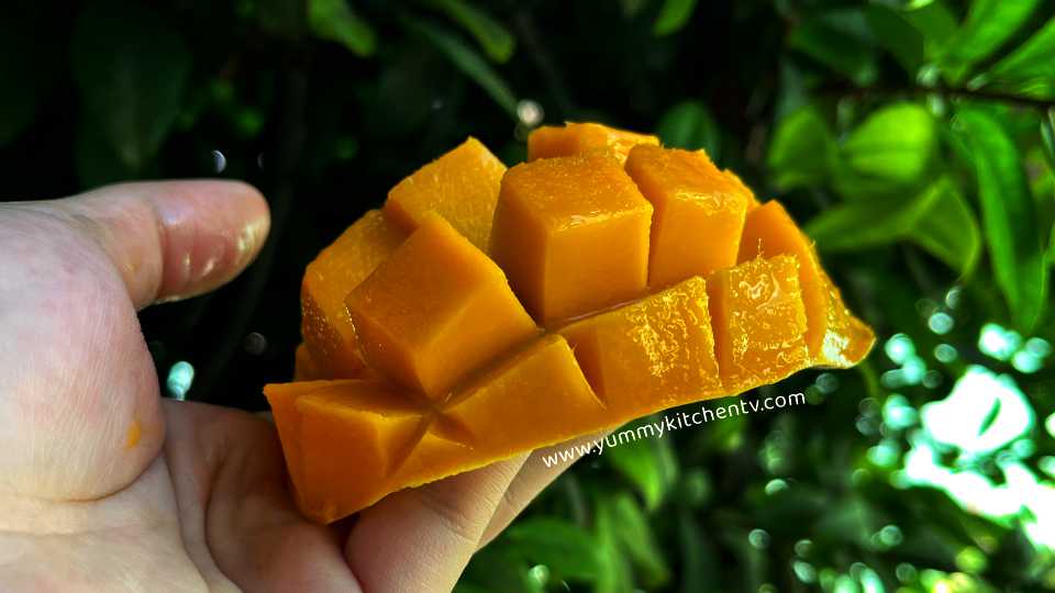 Tropical fruit benefits