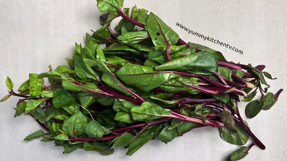 ano ang alugbati what is malbar spinach