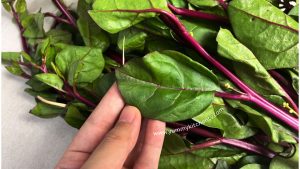 Malabar Spinach ( or “Malabar Spinach” ) - Yummy Kitchen