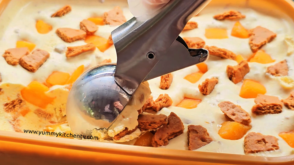 ice cream with graham cracker